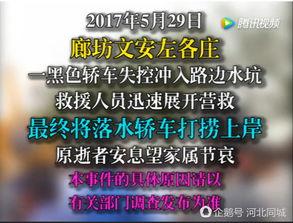 易经网友爆料视频大全集,网友爆料视频大全集深度解析  第3张