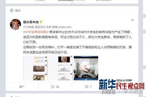 下期花园爆料视频在线观看,揭秘下期精彩瞬间