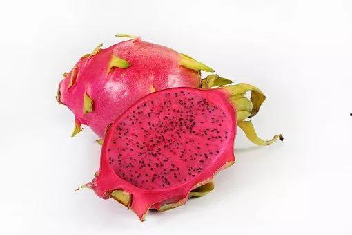 小思妹爆料吃火龙果视频,趣味视频引网友热议  第2张