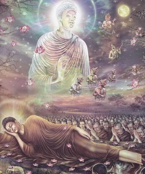 释迦牟尼佛传在线观看,穿越时空的智慧之旅