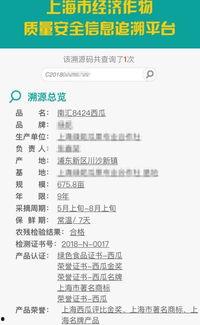 吃网红瓜的网址,探寻网络热点背后的真相与秘密