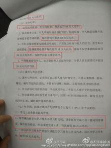 陕西商洛最新爆料,揭秘神秘事件背后的真相  第3张