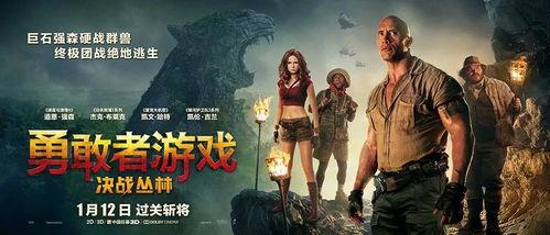 决战丛林在线观看,生死较量，勇者无畏  第2张