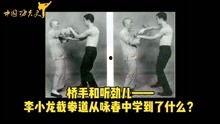 功夫在线高清在线观看,高清盛宴，一招一式尽展中华武术魅力