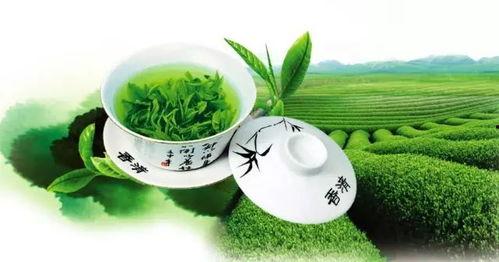姐弟吃瓜小绿茶免费阅读,小绿茶的免费阅读之旅 第2张 姐弟吃瓜小绿茶免费阅读,小绿茶的免费阅读之旅 第2张