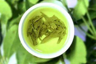 姐弟吃瓜小绿茶免费阅读,小绿茶的免费阅读之旅 第3张 姐弟吃瓜小绿茶免费阅读,小绿茶的免费阅读之旅 第3张