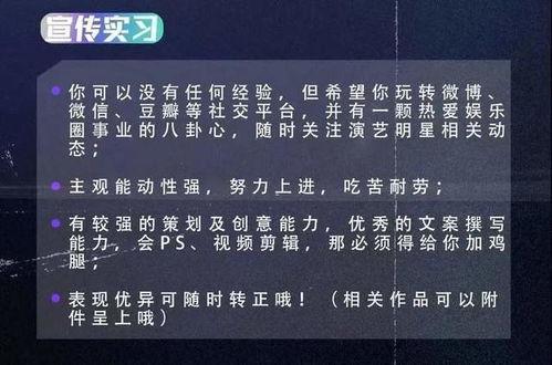 娱乐公司老板爆料小说,老板爆料小说背后的真实故事  第2张