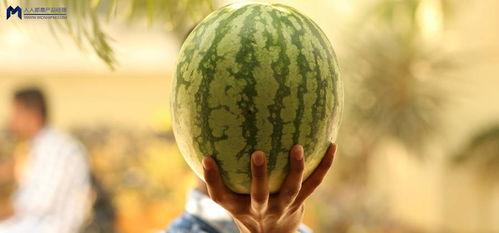 最近娱乐圈有什么瓜可吃,揭秘明星幕后故事与热点事件